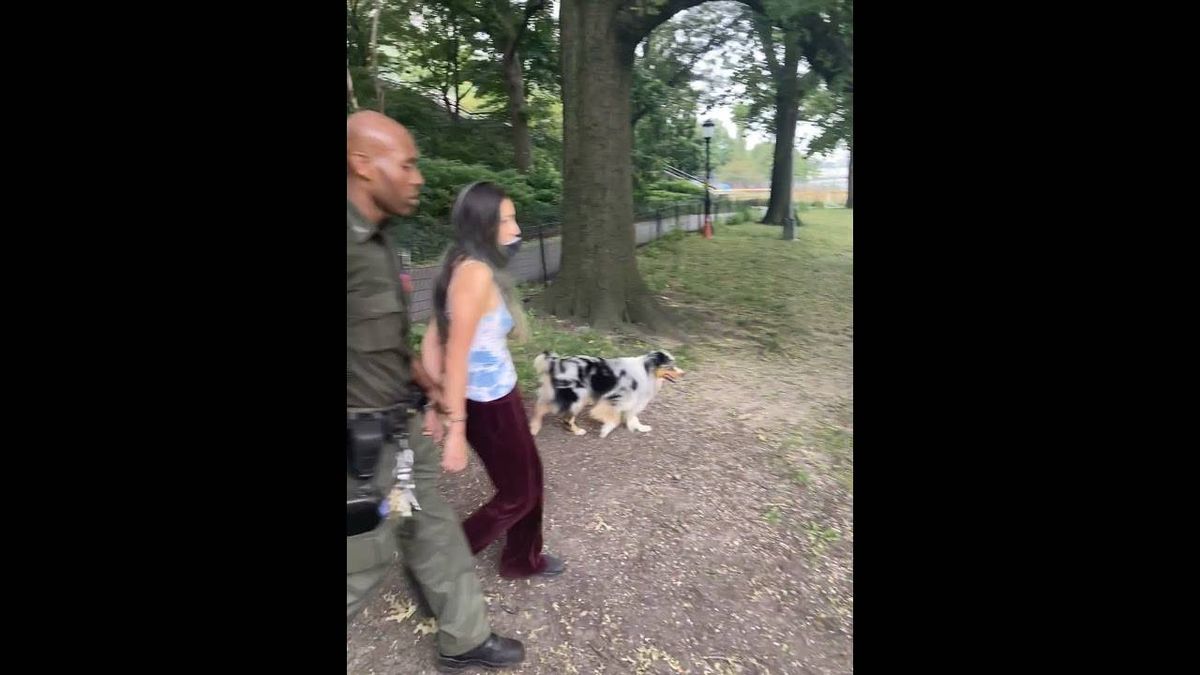 VIDEO: Woman at UWS park cuffed, arrested, fined, for walking dogs with no leash