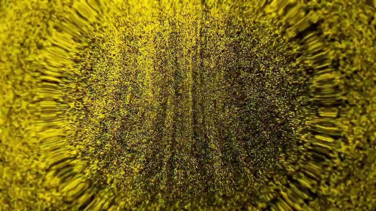 Odesza Announce Seattle Show at Climate Pledge Arena