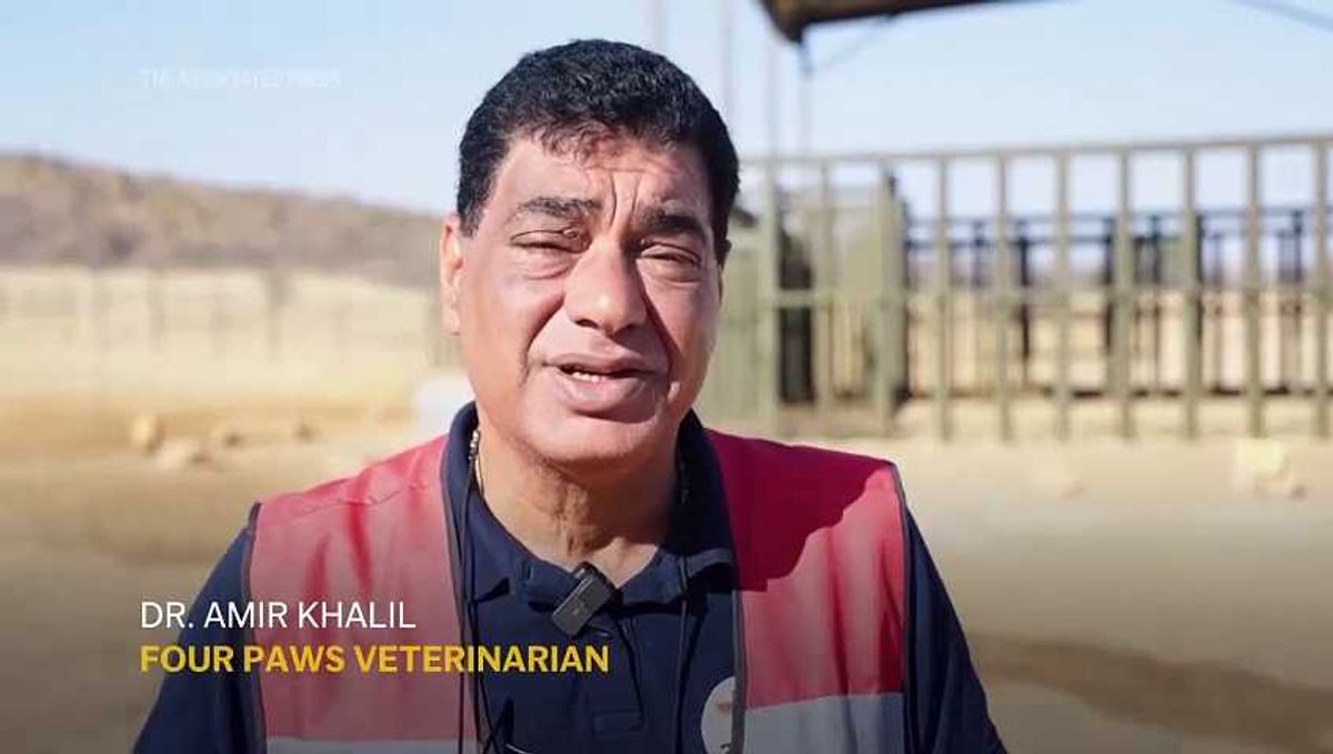 LA Zoo says goodbye to its final elephant as more decide it's inhumane