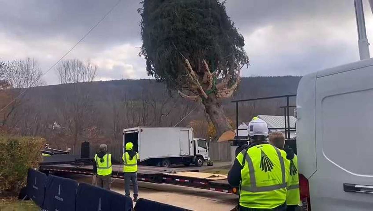 Here's why so many people decorate early for the holidays