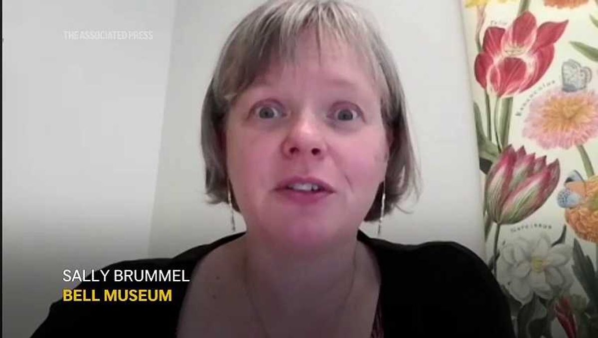 WATCH: 4-year-old can point out every country in the world on a map