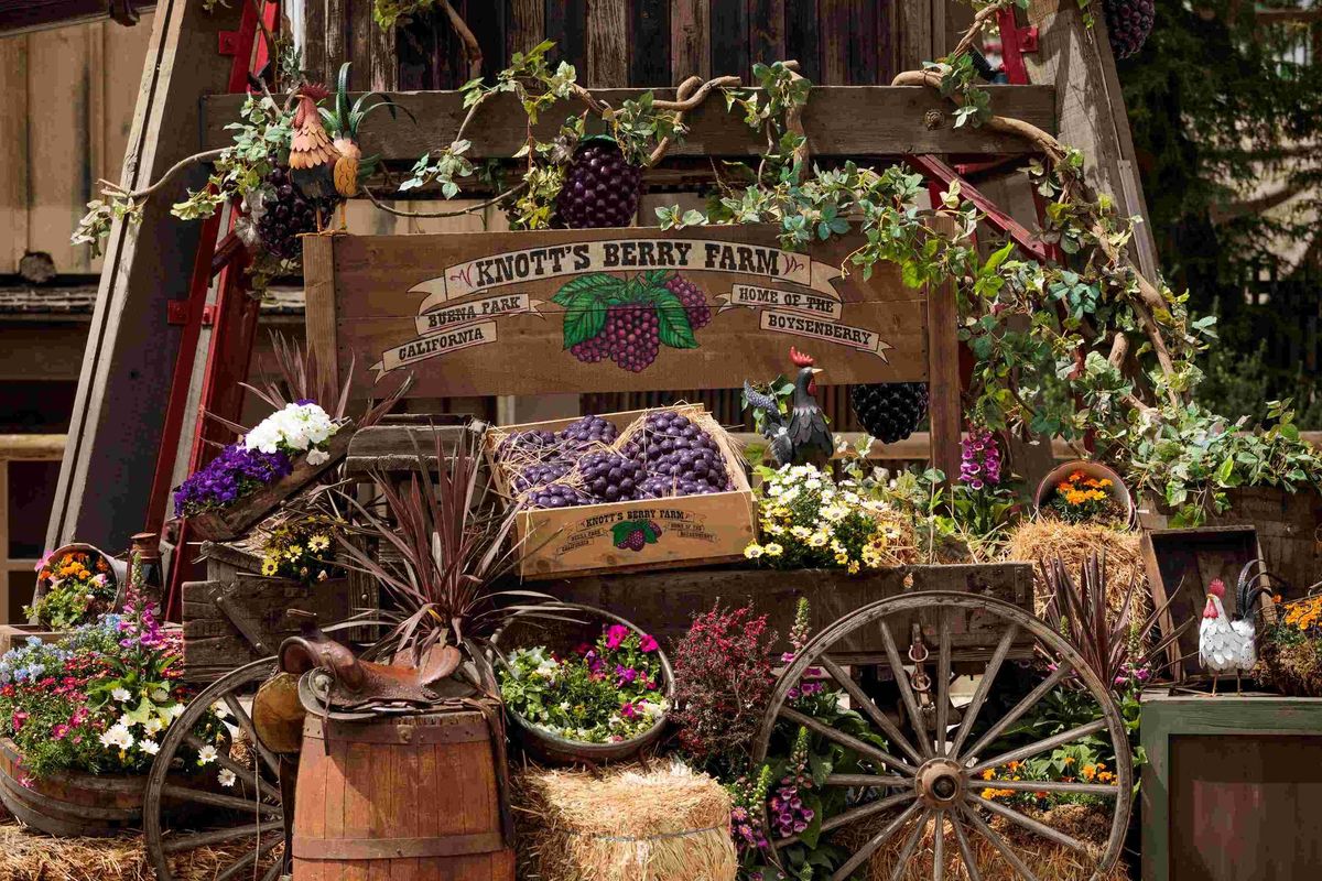 Listen for a chance to win tickets to Knott's Boysenberry Festival!
