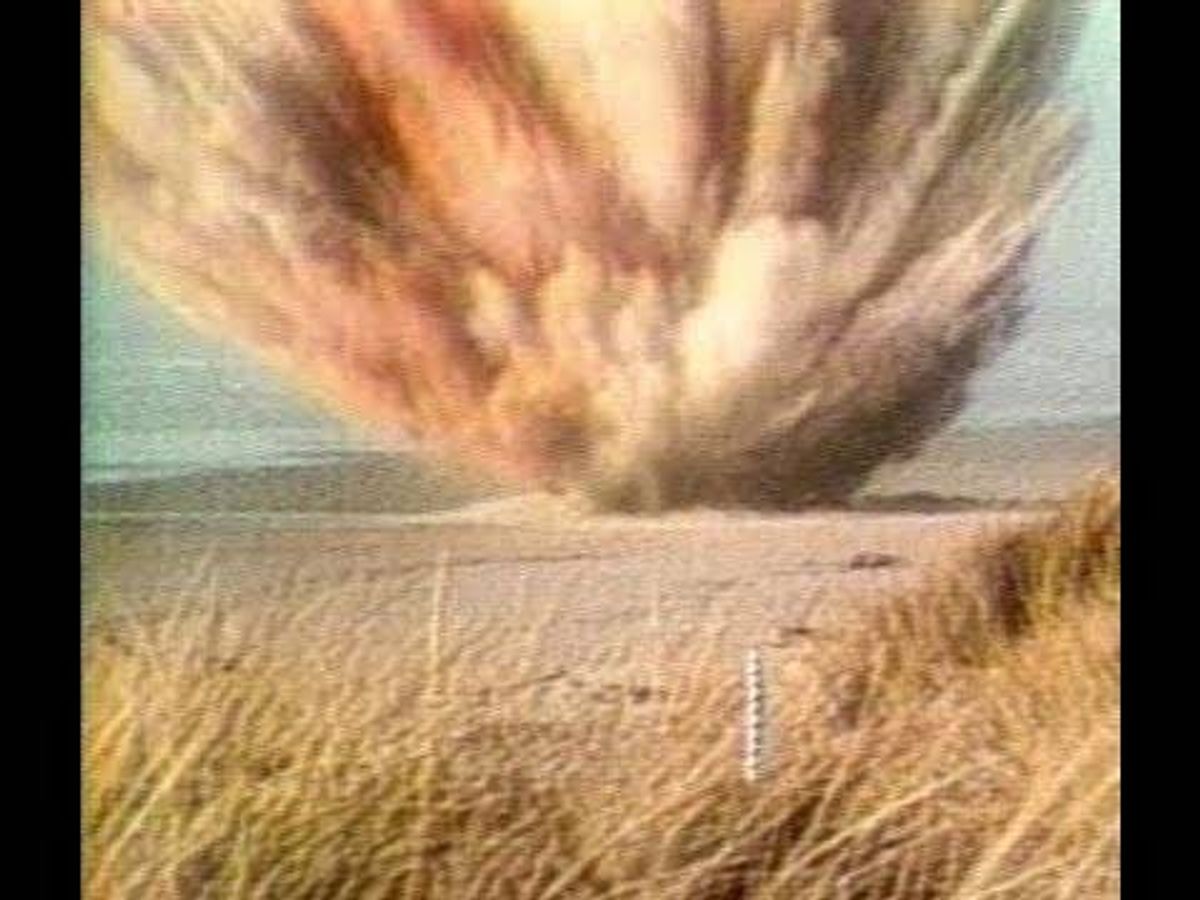 WATCH: Whale blown up with dynamite on live TV 50 years ago looks like 'explosion from movies'