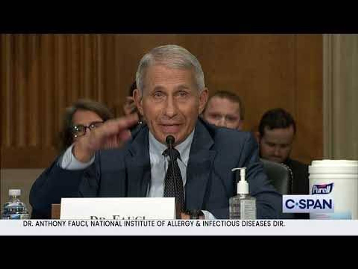 WATCH: Fauci says Sen. Rand Paul is 'lying' in heated Senate hearing