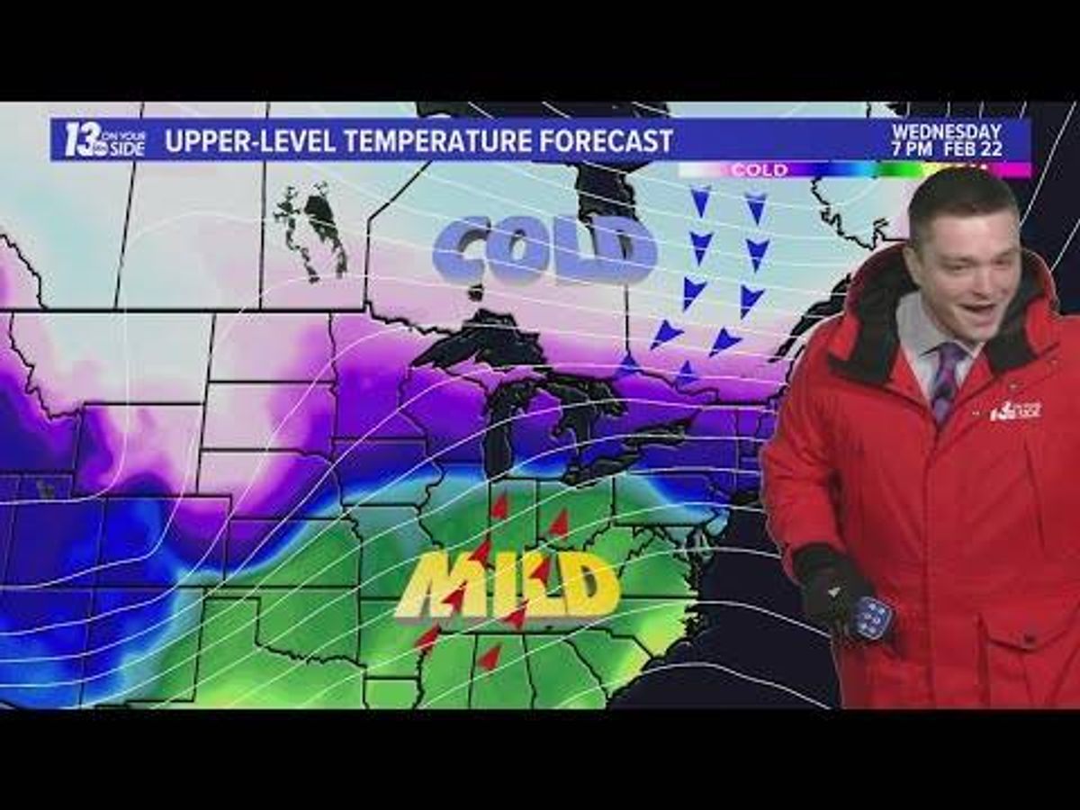 Paw-don me, but are you fur real? Pair of cats interrupt West Michigan meteorologist on live TV [WATCH]