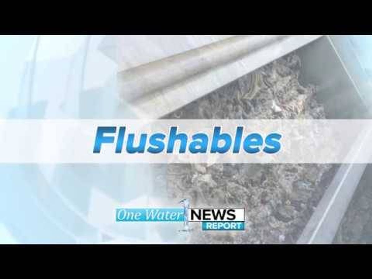 'It is a mess!' People flushing wipes during pandemic wreaking havoc in Macomb County