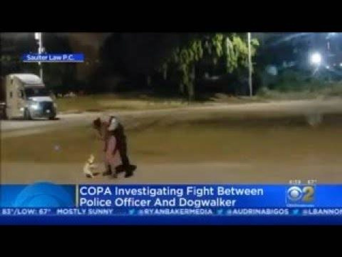 WATCH: Investigation unfolds after Chicago cop scuffles with Black woman walking her dog