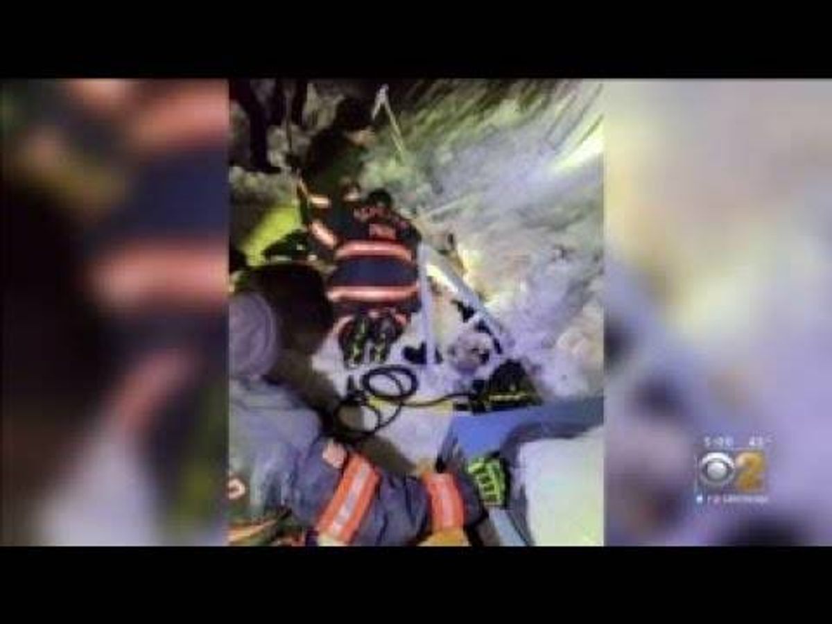 VIDEO: Firefighters rescue woman trapped under collapsed awning for 10 hours in Schiller Park