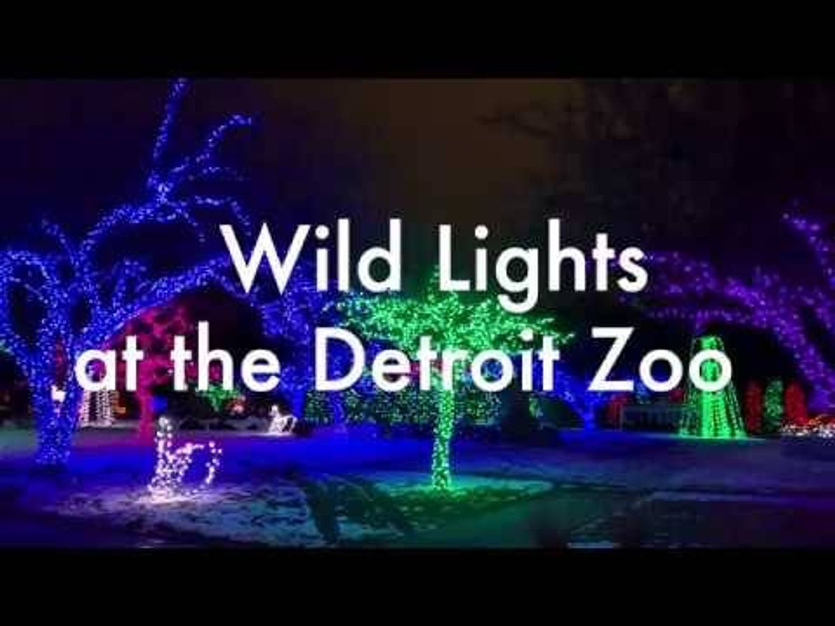 Detroit Zoo's 'Wild Lights' returns next week – Get your tickets now