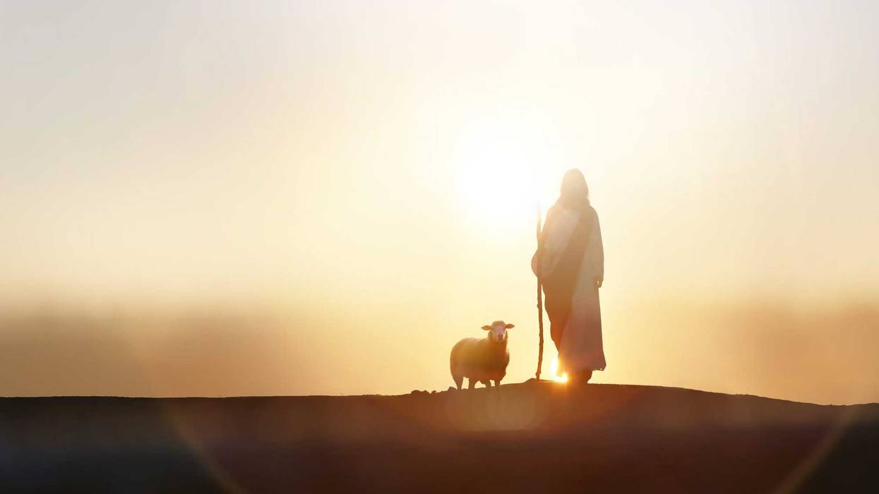 The Life of Jesus Podcast