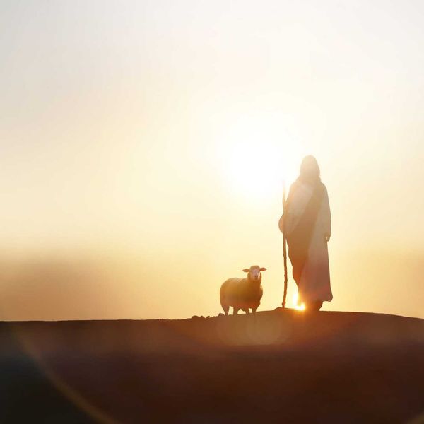 The Life of Jesus Podcast