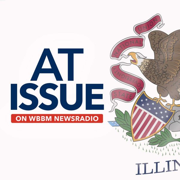 First Deputy Superintendent Antoinette Ursitti and Chief of Detectives Kevin Bruno joined @WBBMNewsradio's At Issue to discuss the work our detectives are doing to seek justice for crime victims. Listen to the program here: