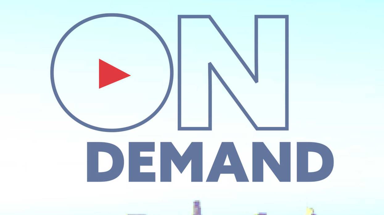 Orphaned Monrovia bear cubs receiving care in San Diego