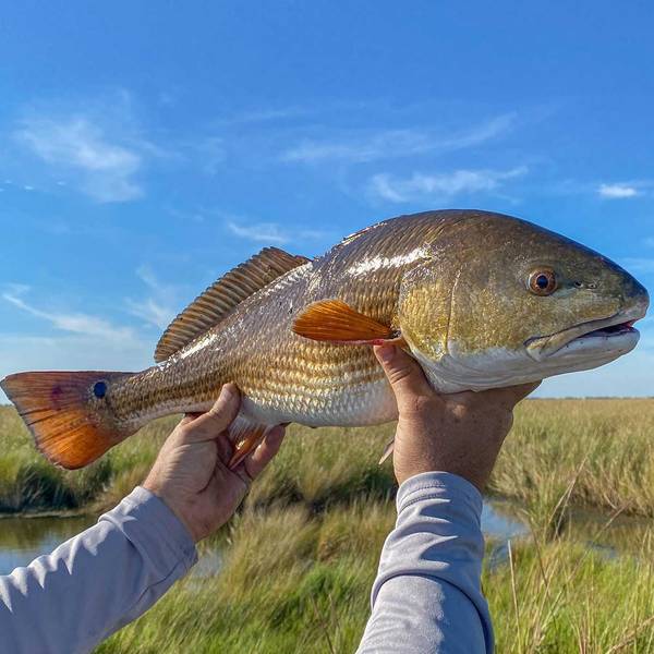 Louisiana Great Outdoors with Don Dubuc