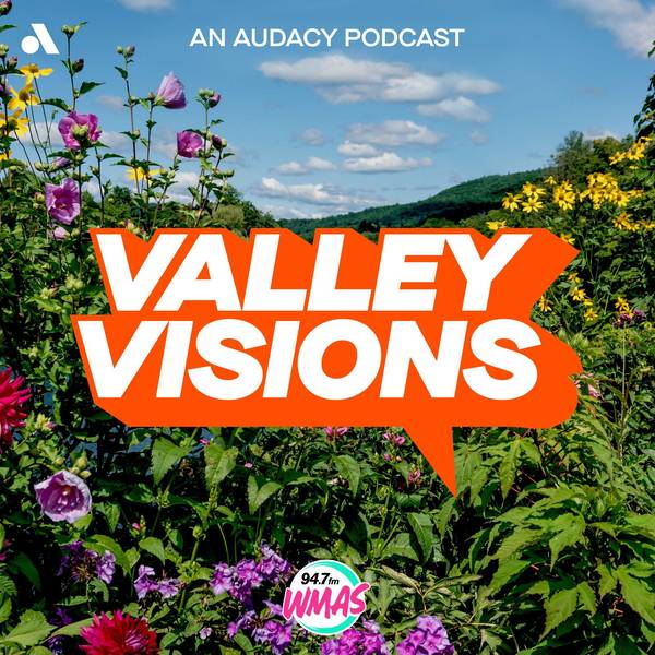 Valley Visions