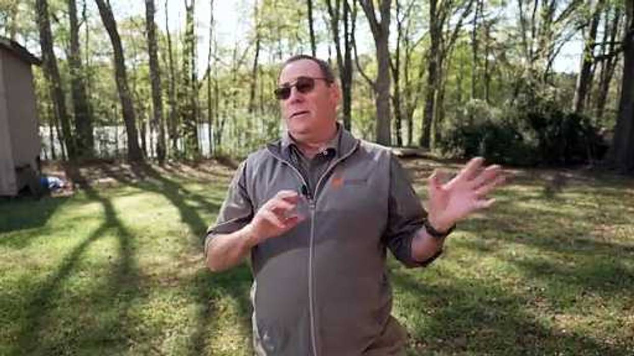 Cicada-mania: Why we're excited about weird bugs crawling out of the ground