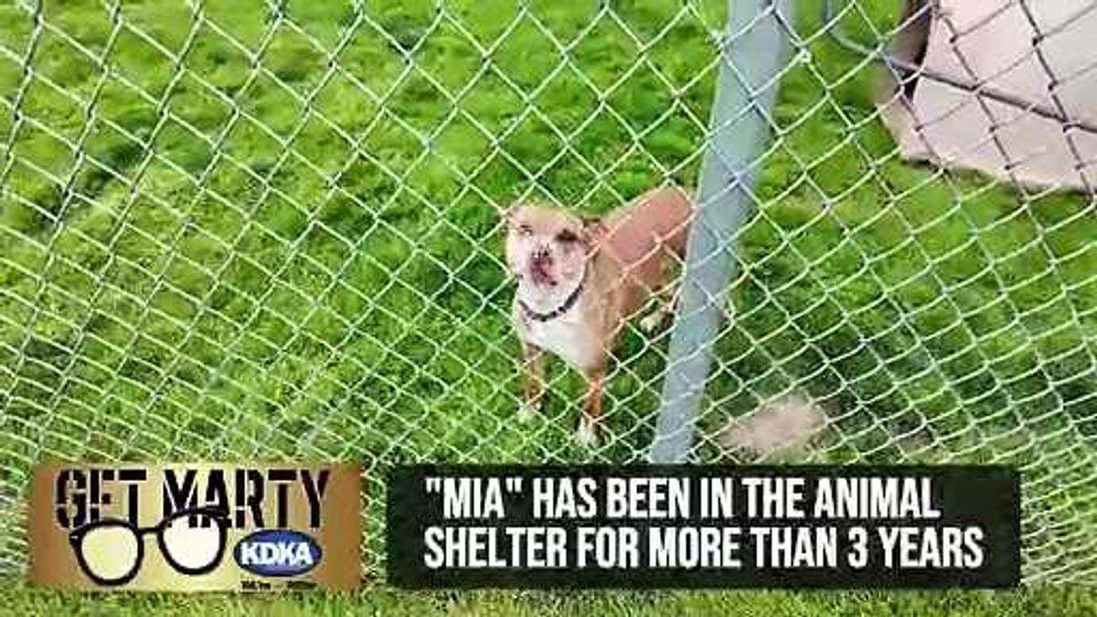 Expert: Don't give your kids these snacks