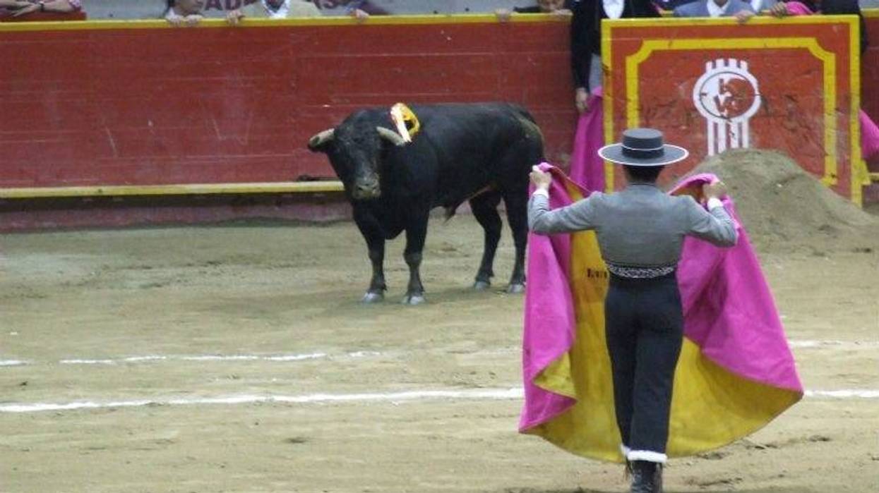 .