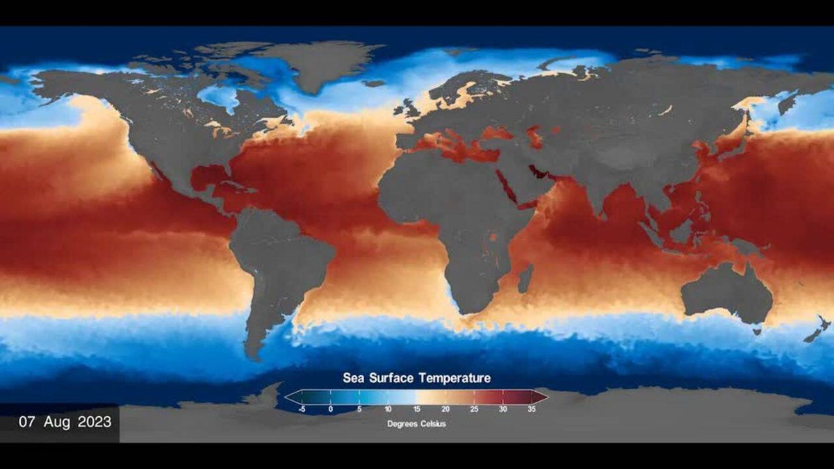 Salesforce CEO calls for AI regulation to prevent suicides