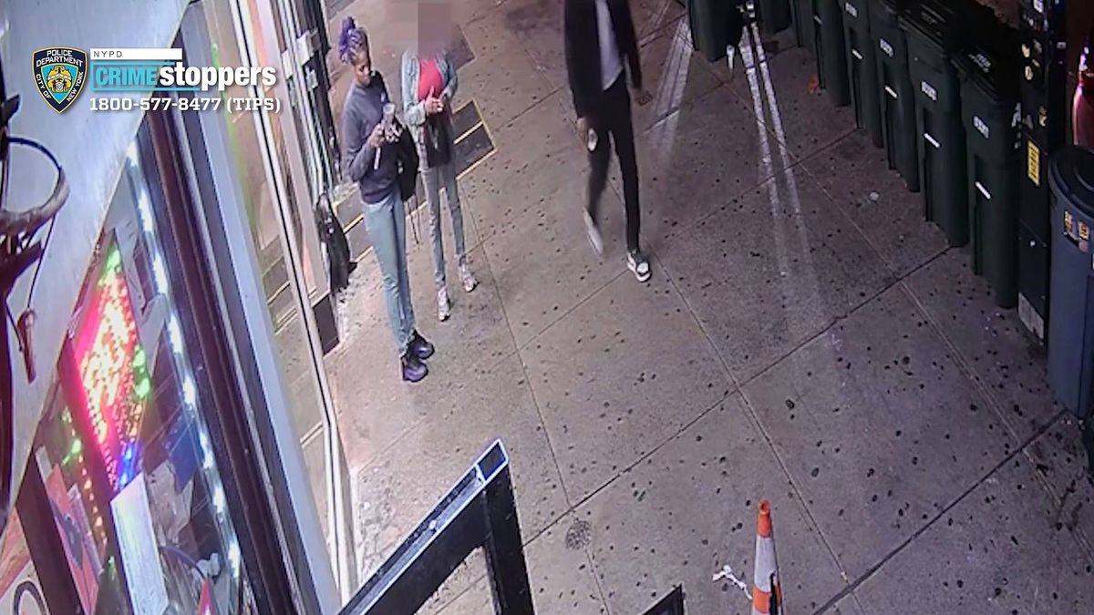 Cop fires shot during suspected white van thief arrest in Burbank