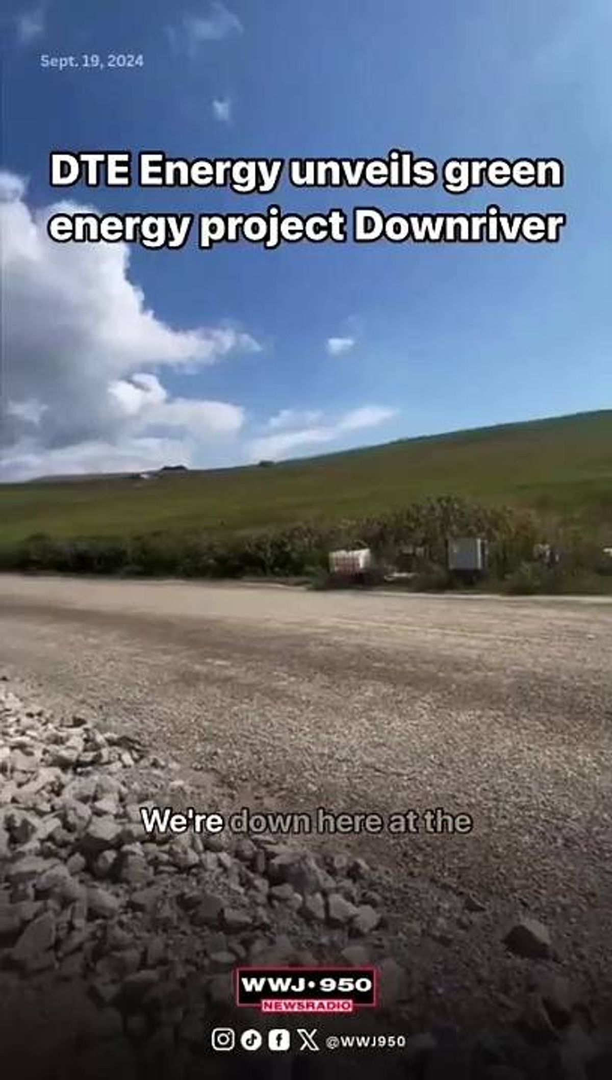 Using high levels of common fertilizers on grassland halves pollinators and drastically reduces flowers