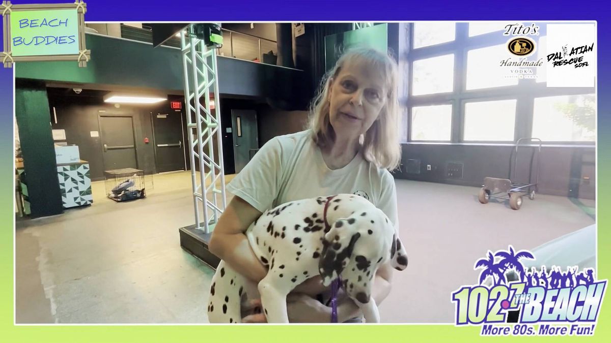 Beach Buddies Visits Dalmatian Rescue of South Florida
