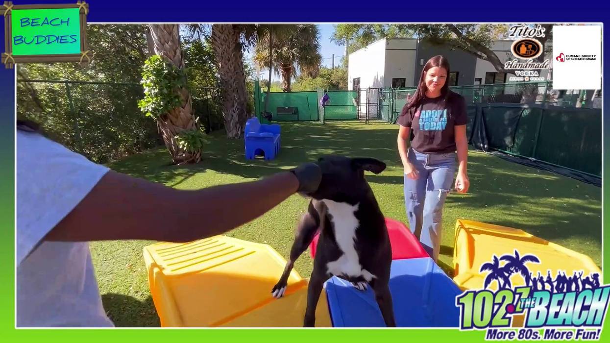 Beach Buddies Visits Humane Society of Greater Miami