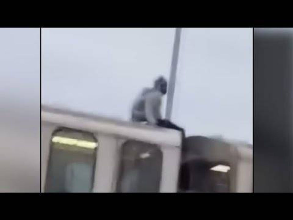 Video of man 'surfing' on top of CTA train goes viral on social media