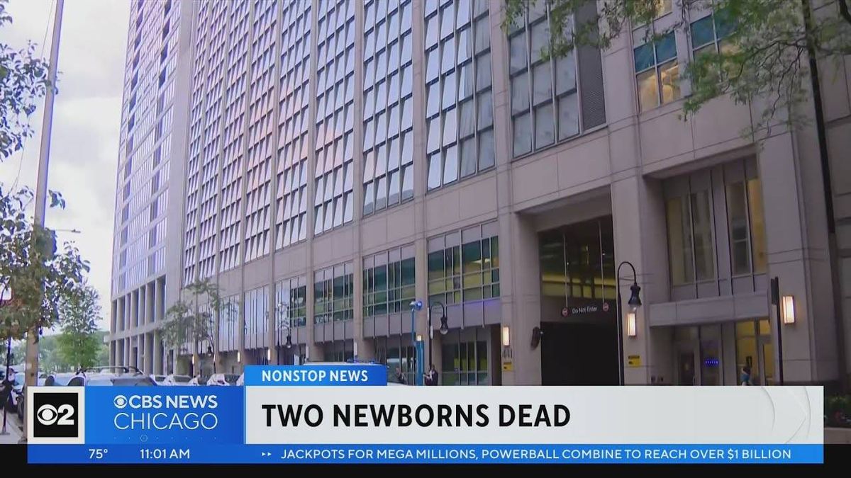 UPDATE: Northwestern Medicine addresses discovery of 2 dead newborns at its daycare facility