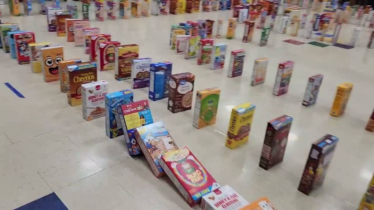 WATCH: Batavia elementary school sets up over 700 cereal box dominoes with their donations to charity