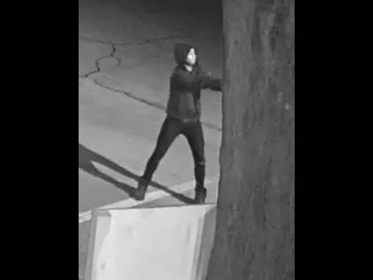 Police search for gunmen who fatally shot 12-year-old girl in West Englewood