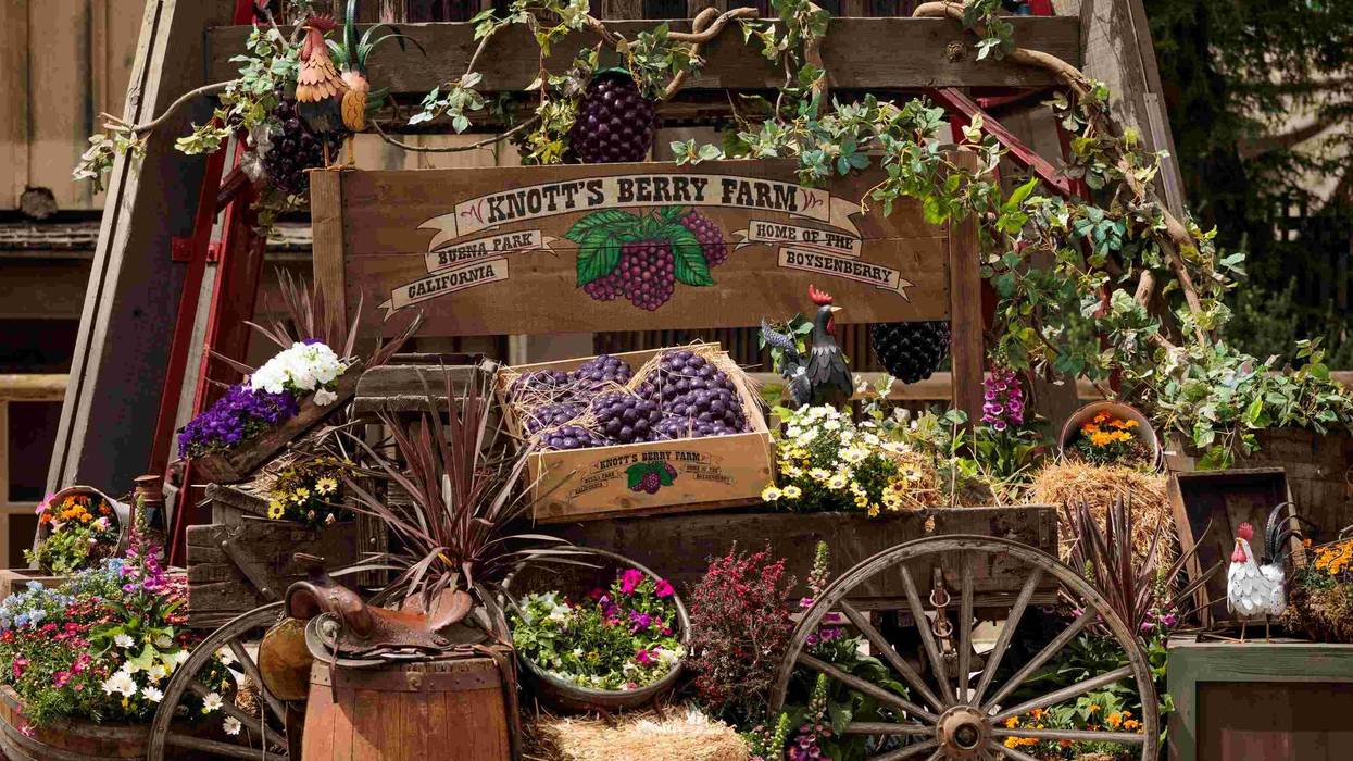 Enter for a chance to win tickets to Knott's Boysenberry Festival!