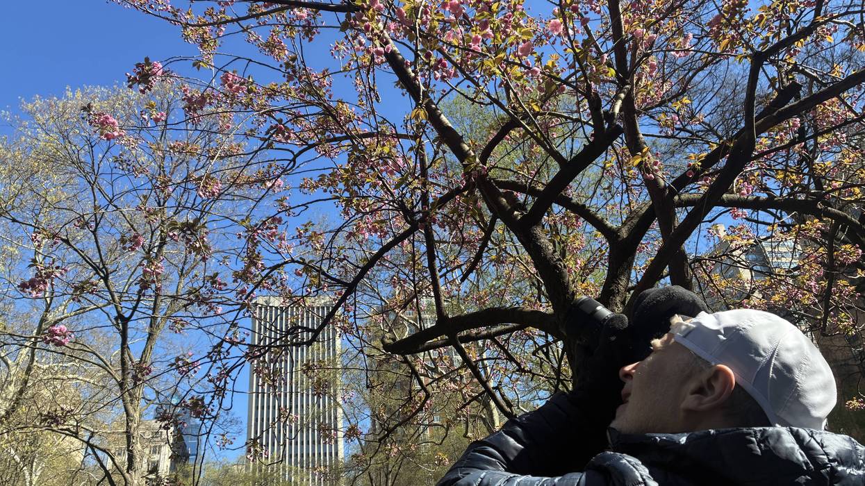 Start snapping! Submissions are now open for Philly Photo Day