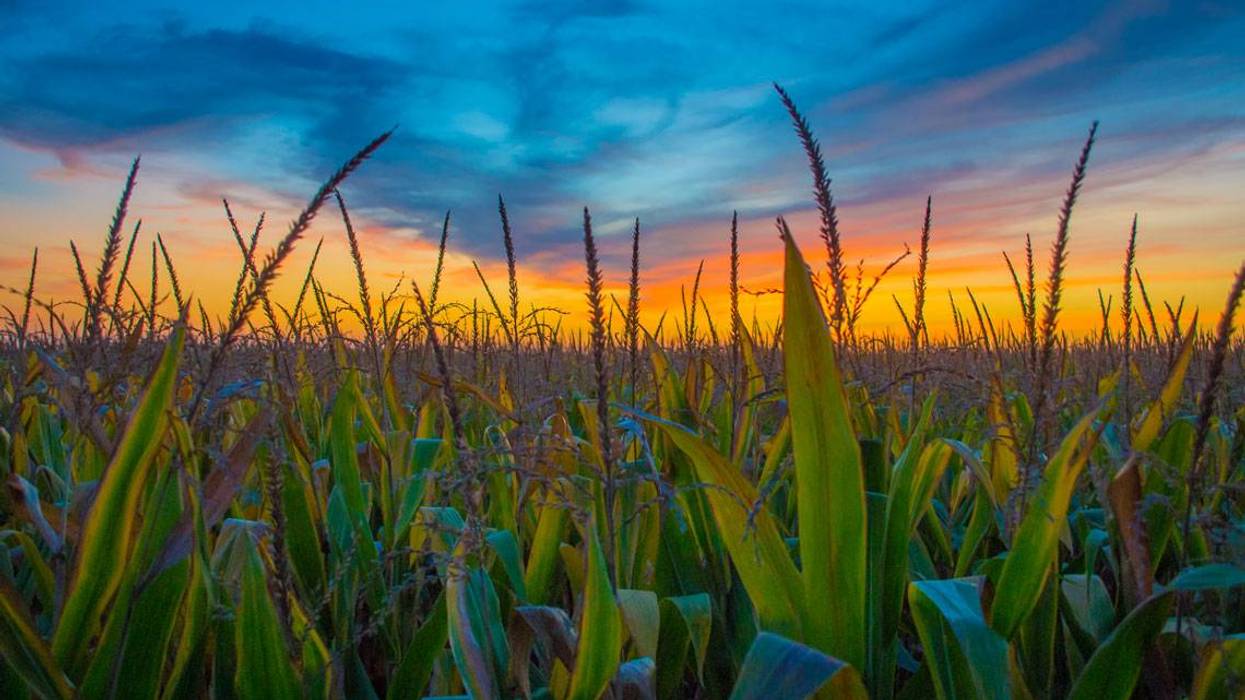 Illinois farmers ease critical labor shortages through this agricultural visa program