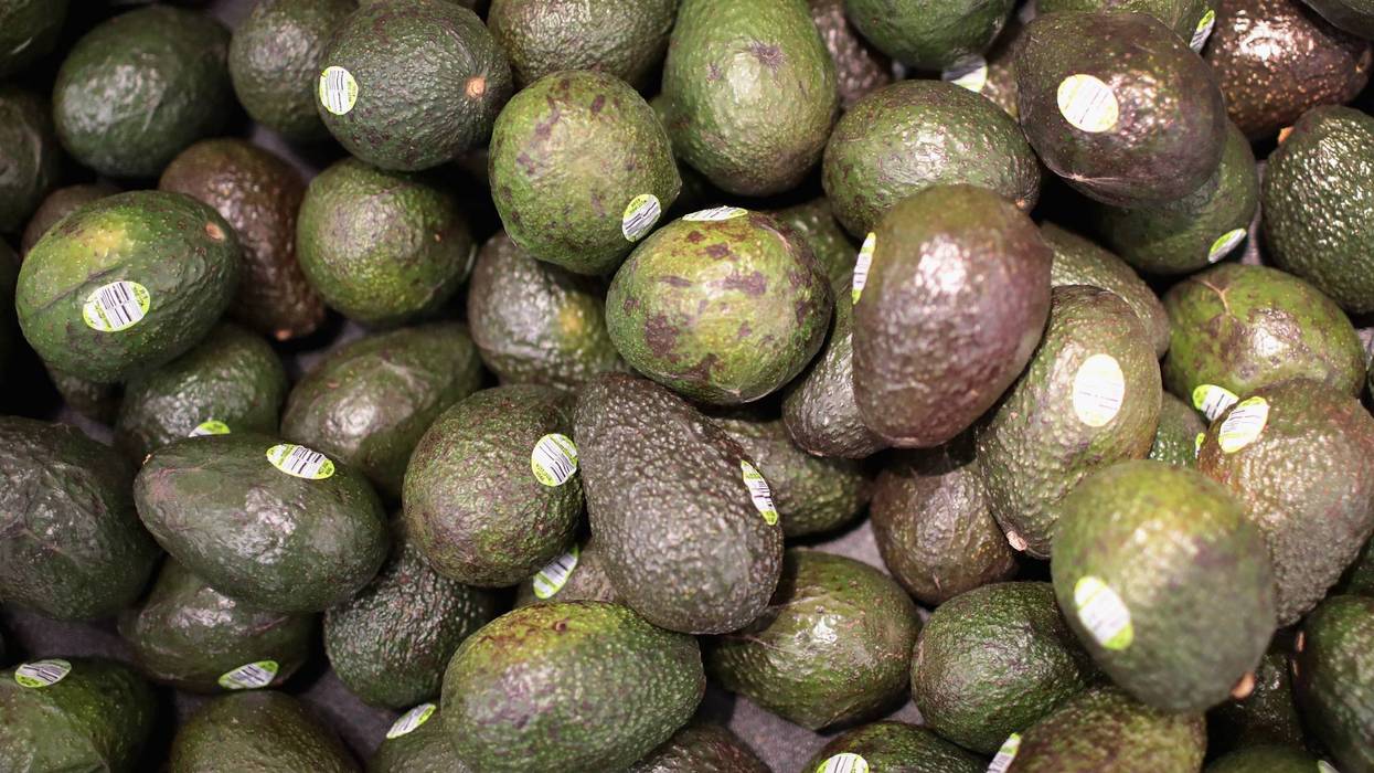 Avocado Are Being Recalled in These States
