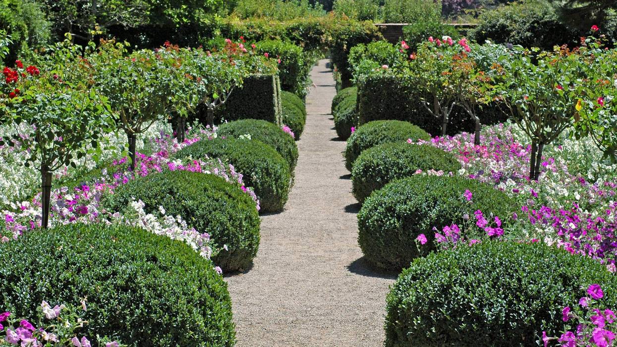 Spring at Filoli Garden!