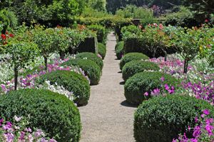 Spring at Filoli Garden!