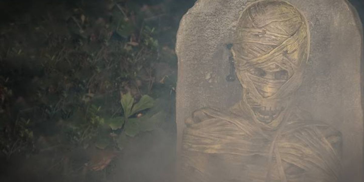 Lee Cronin's The Mummy leans into body horror