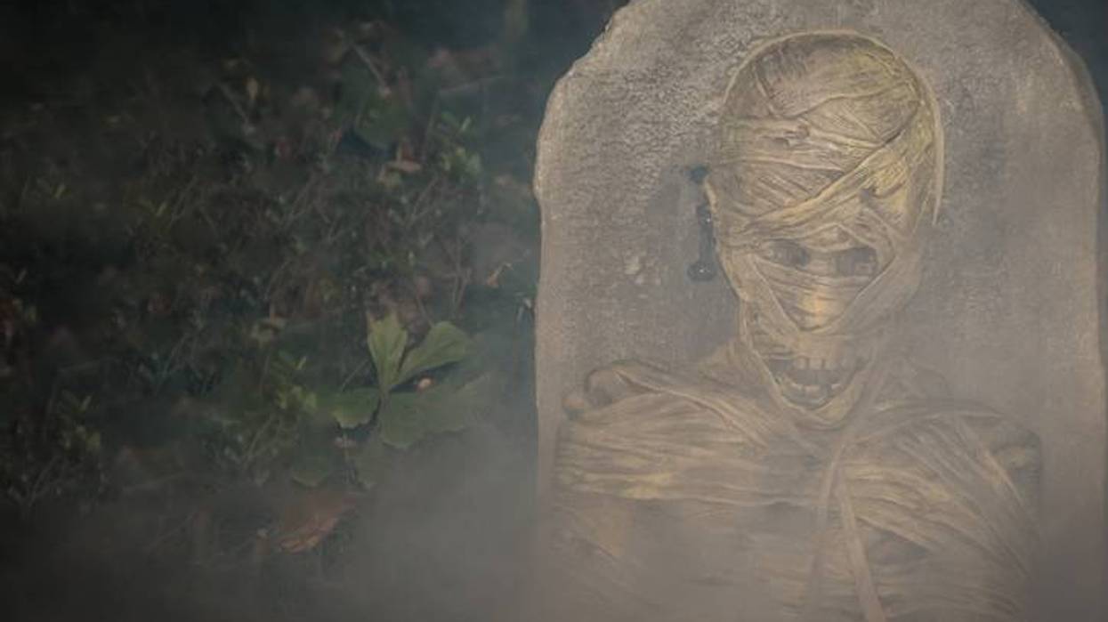 Lee Cronin's The Mummy unapologetically leans into body horror, to its own detriment