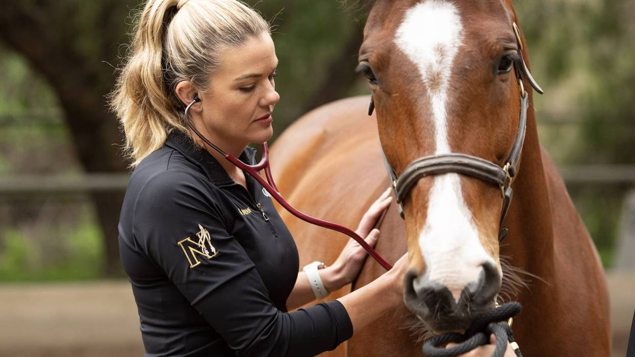 KNX Hero of the Week inspiring the next generation of veterinarians