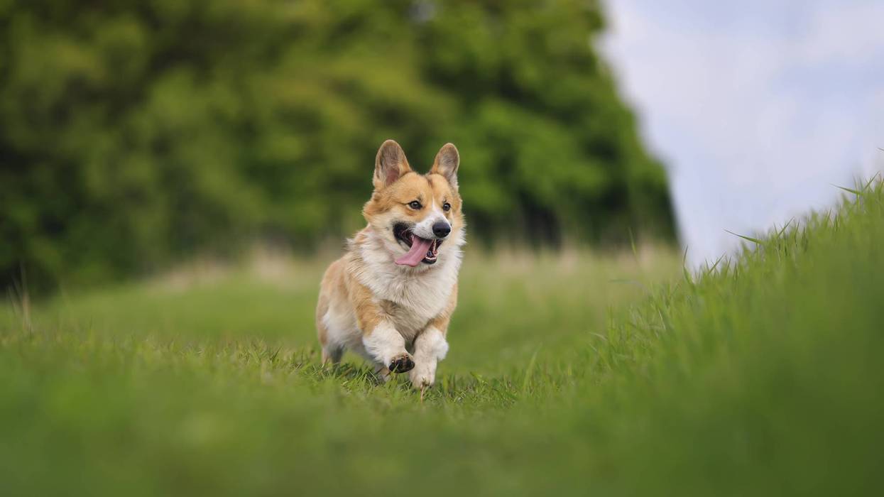 Front sweeps cool weather across New Orleans