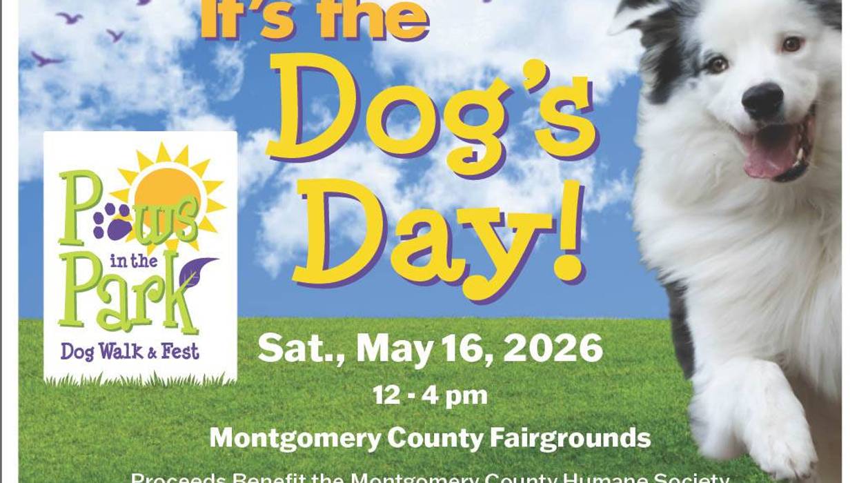 Paws In The Park