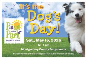 Paws In The Park