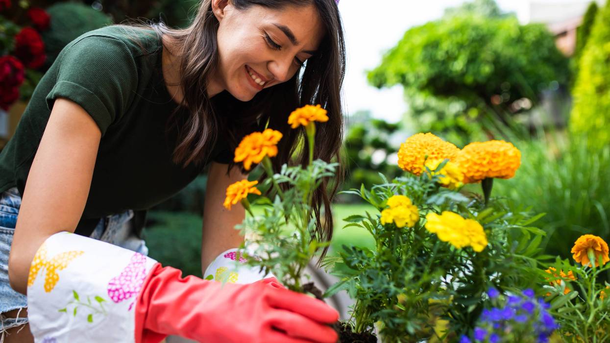 Eco-Hacks That Actually Make Your Life Better (Not Just the Planet)