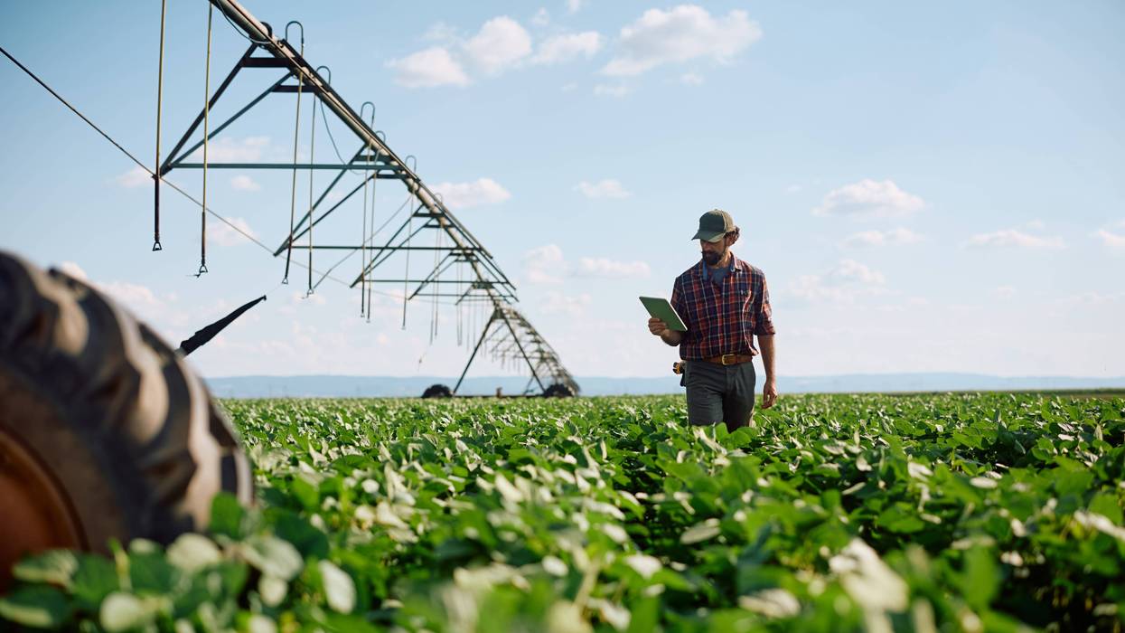 Congress farm bill could cement SNAP benefit cuts, local food banks warn