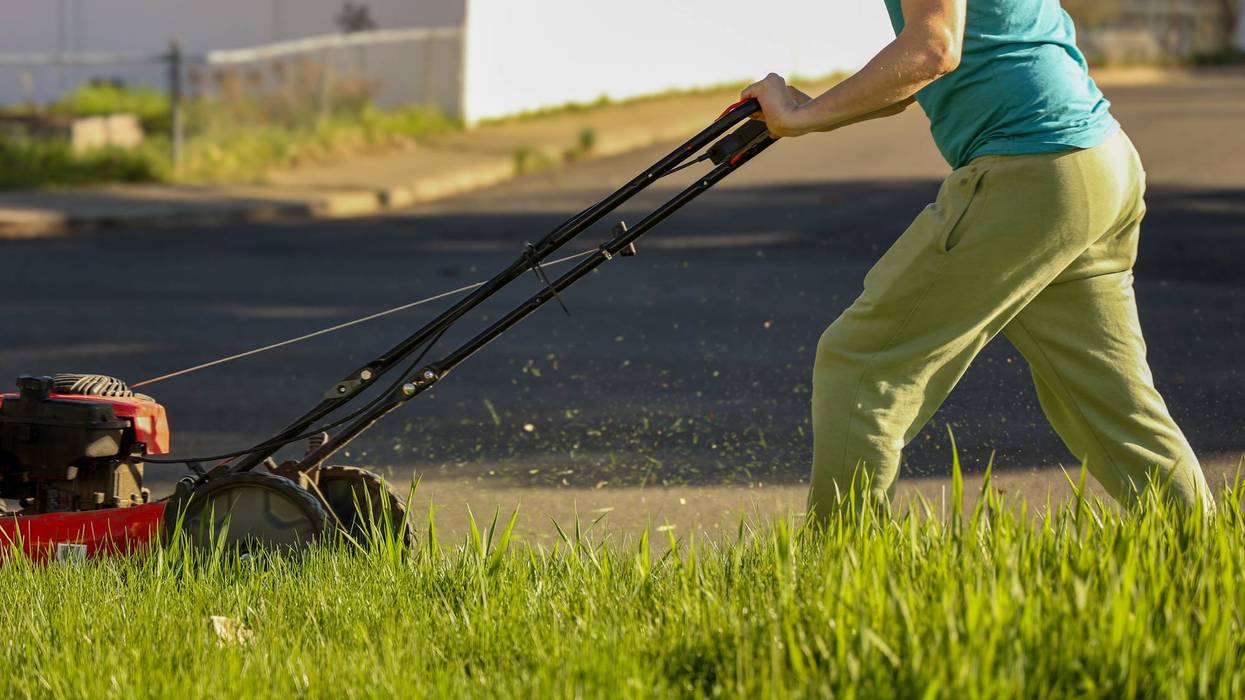 University of Minnesota experts are recommending a "slow mow summer" instead of a "no mow May"