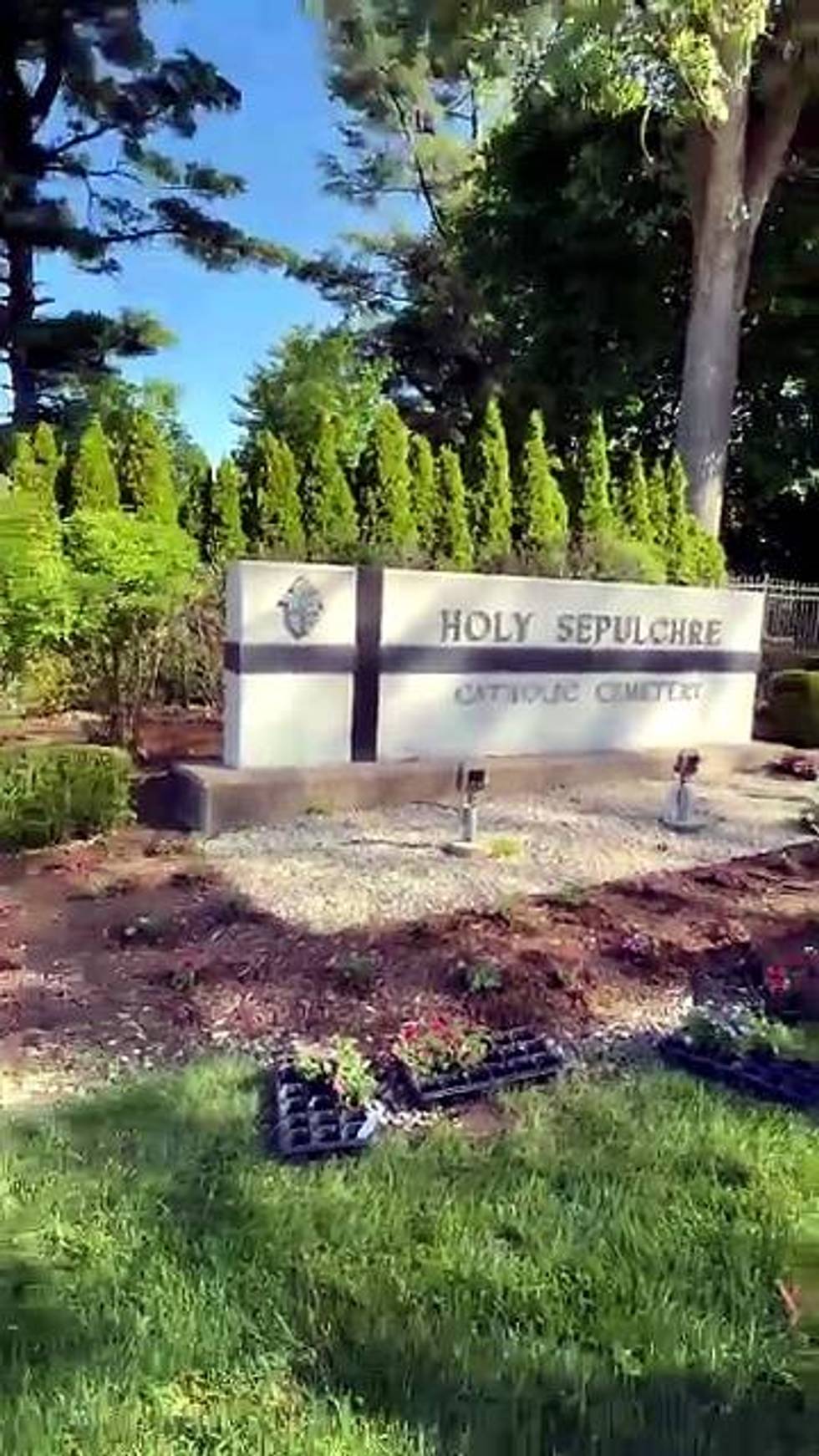 Mysterious case of decapitated animals at Southfield cemetery