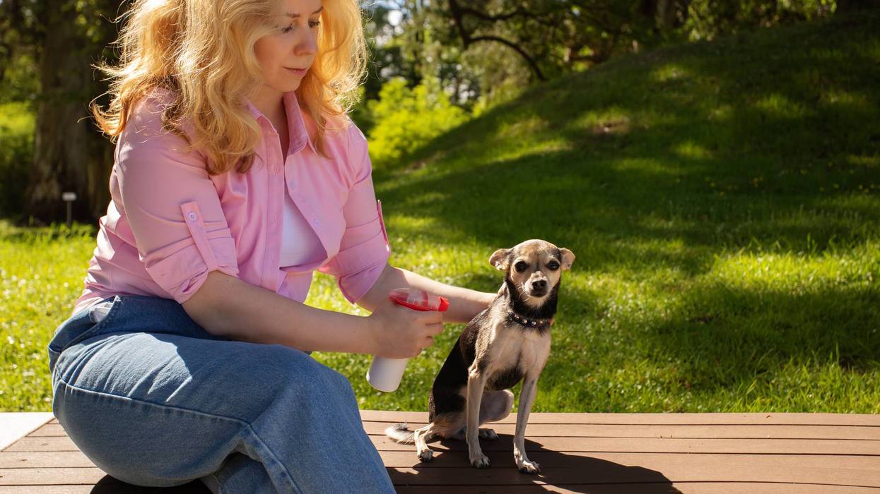 Doctors urge protection over concerns of flea-borne Typhus illness
