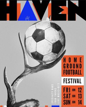The Haven Home Ground Football Festival