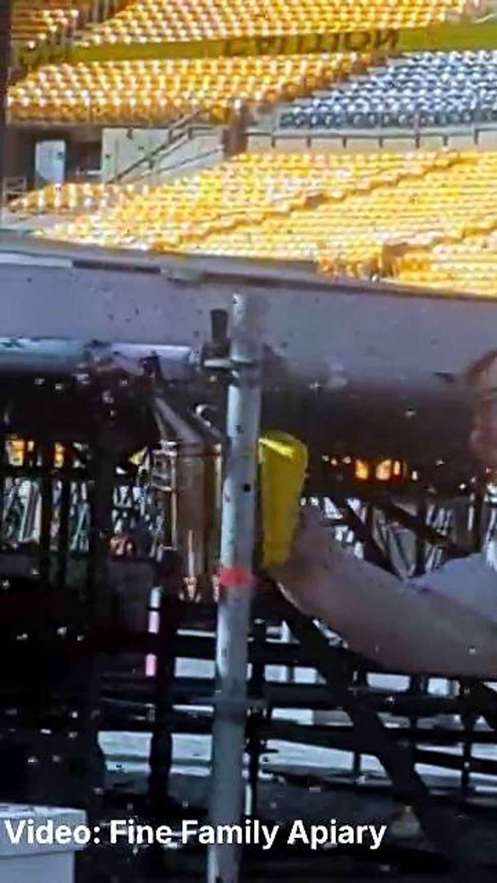Morgan Wallen bee swarm Acrisure Stadium